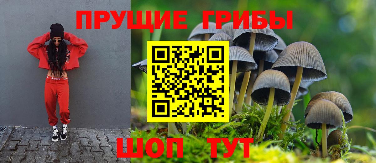Галлюциногенные грибы GOLDEN TEACHER Сланцы